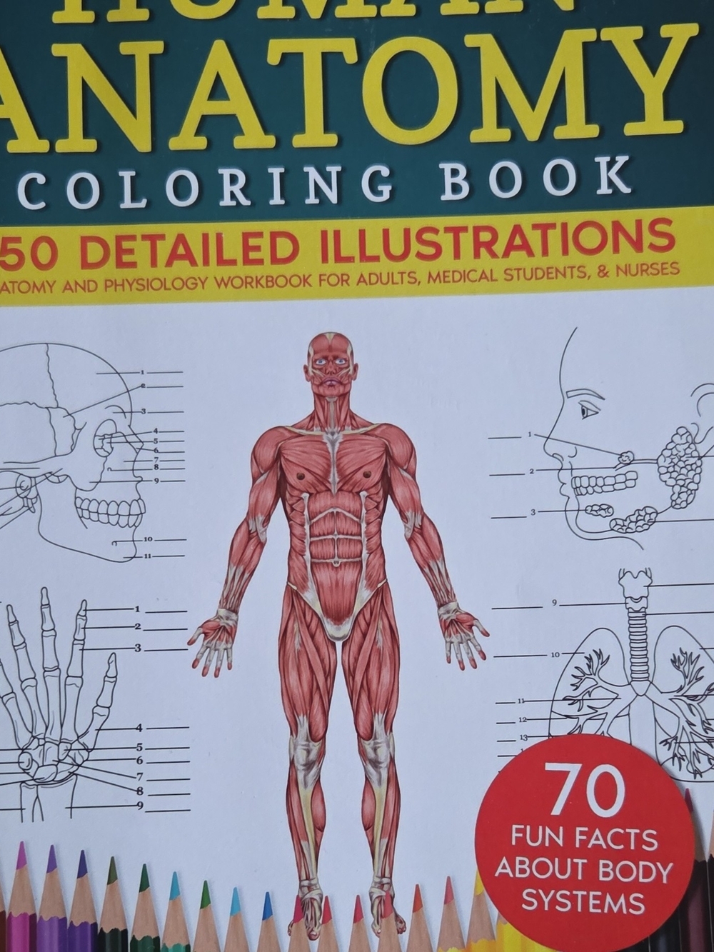 Human Anatomy Coloring Book — Detailed Illustrations, White